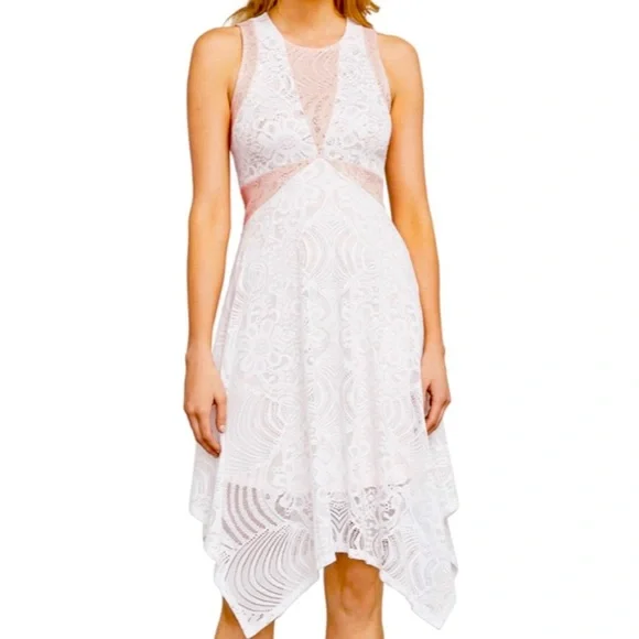chinese dress ladies BCBGMaxAzria Tracie Crochet Overlay Fit & Flare Asymmetrical Hem Dress –  theuntamedthread.com main image 1